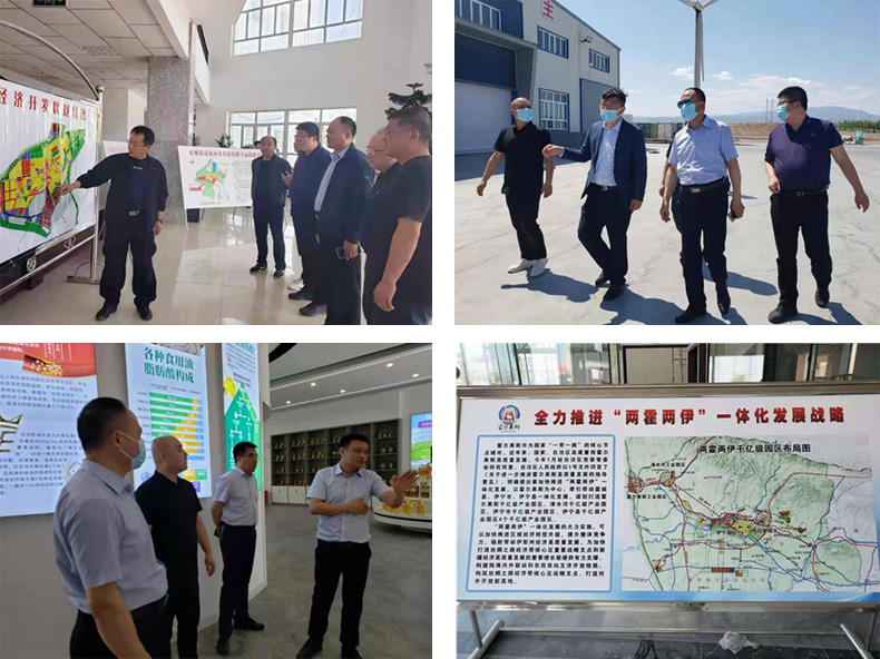 油脂集團(tuán)：李普生一行赴新疆霍城調(diào)研、檢查工作