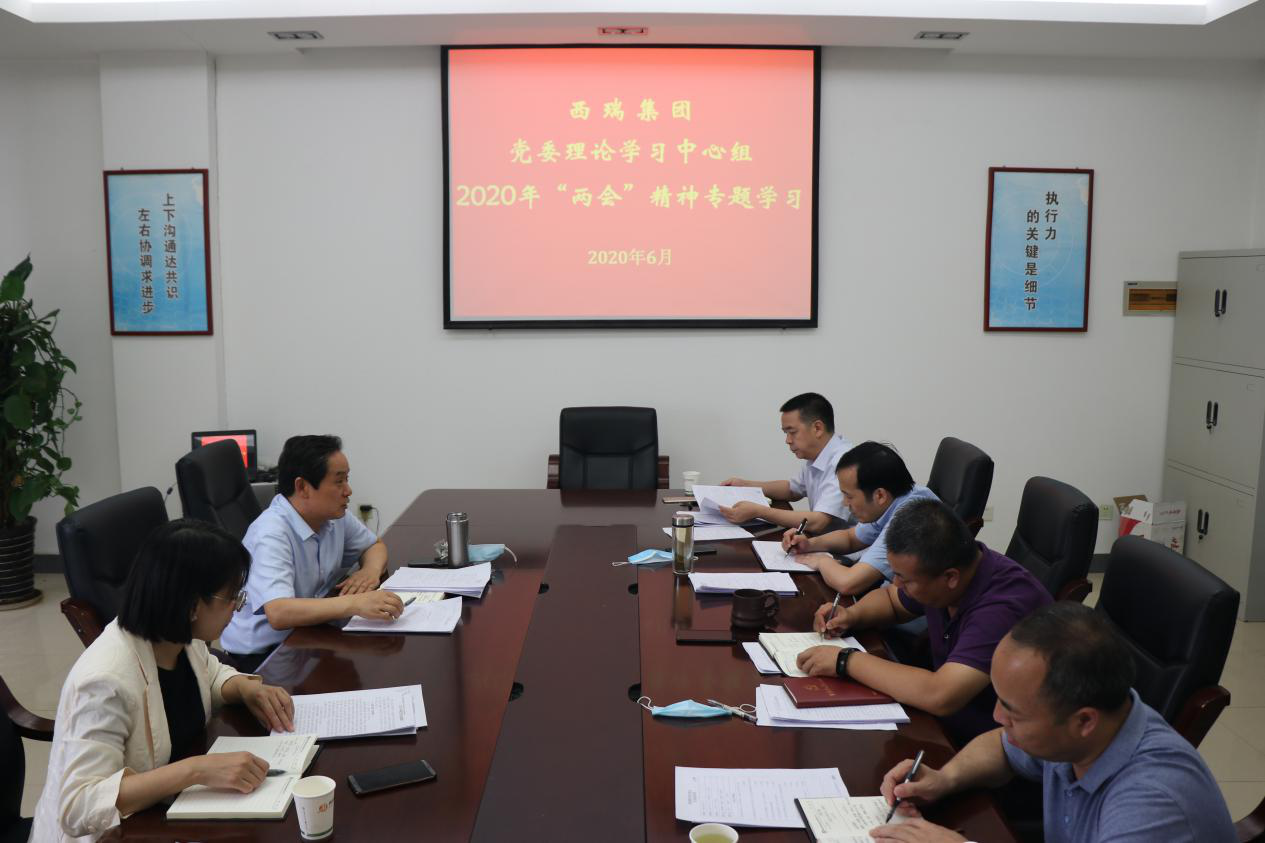 西瑞集團黨委理論中心組專題學習 2020年全國“兩會”精神