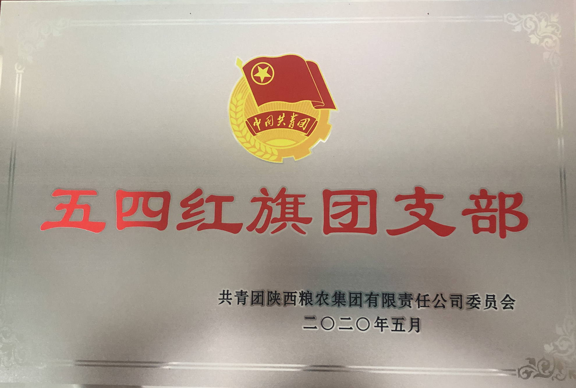 喜報！五四青年節(jié)，油脂集團多位青年喜獲陜西糧農(nóng)集團榮譽！