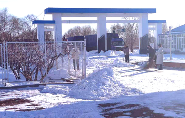 儲(chǔ)備糧管理集團(tuán)：戰(zhàn)嚴(yán)寒、清暴雪 集團(tuán)開(kāi)魯庫(kù)保秋糧入庫(kù)