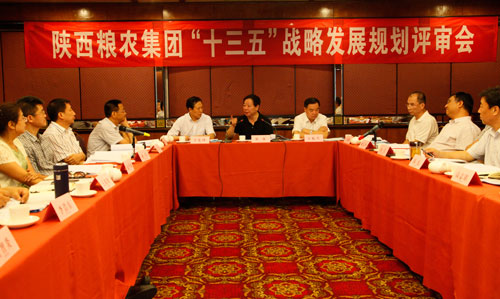 陜西糧農(nóng)集團(tuán)召開“十三五”發(fā)展戰(zhàn)略規(guī)劃評審會